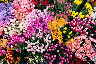 策略新作《圣战群英传：统治》公布 2026年推出