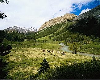 《国足勇夺世界杯》Steam页面 发售日期待定